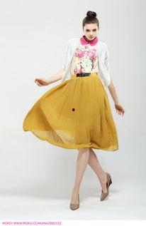 成人趣味服装长裙视频大全,成人趣味长裙视频大赏